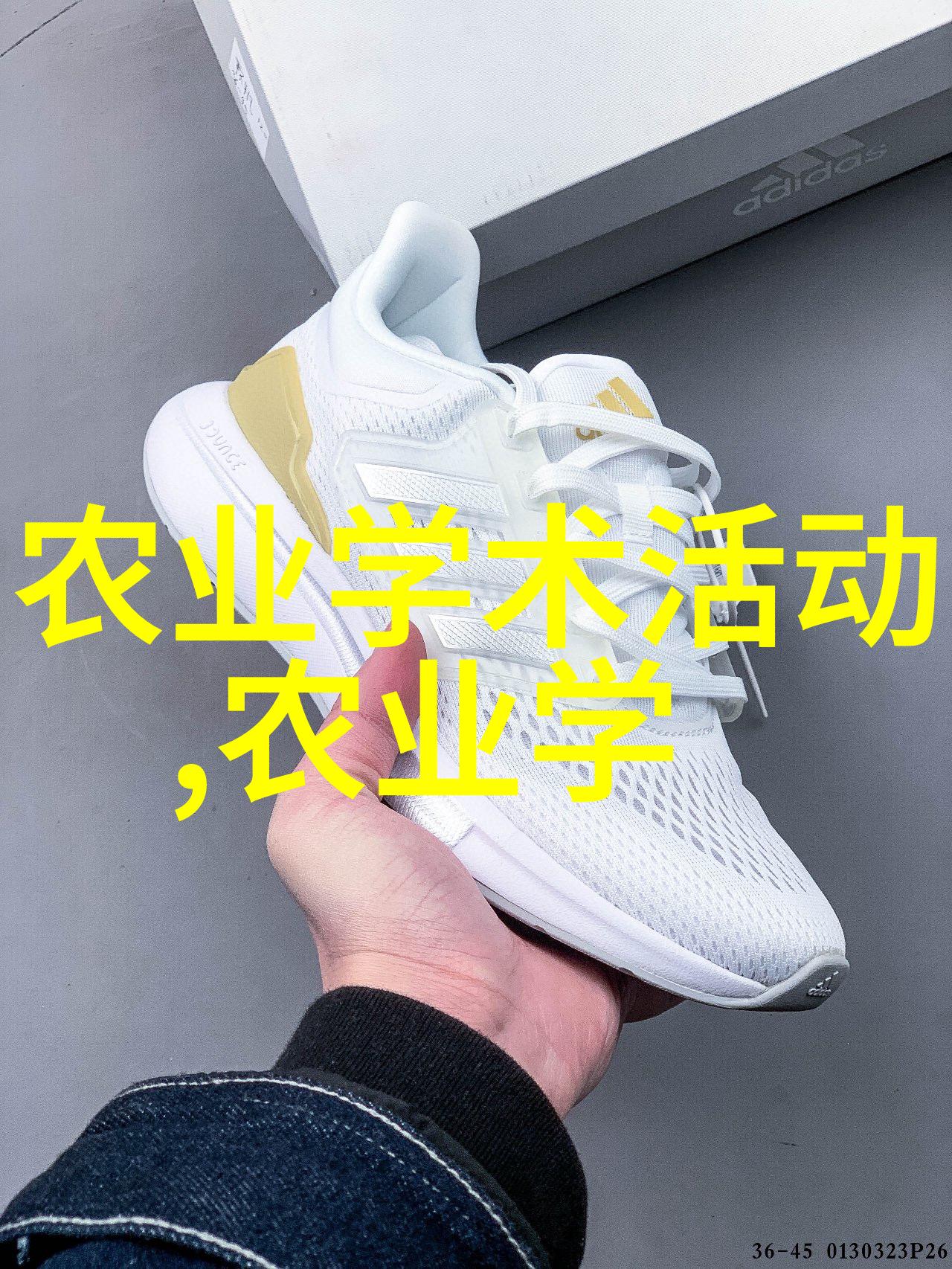 主题我来教你怎么把花儿养得漂亮盆栽花卉图片大全及花名