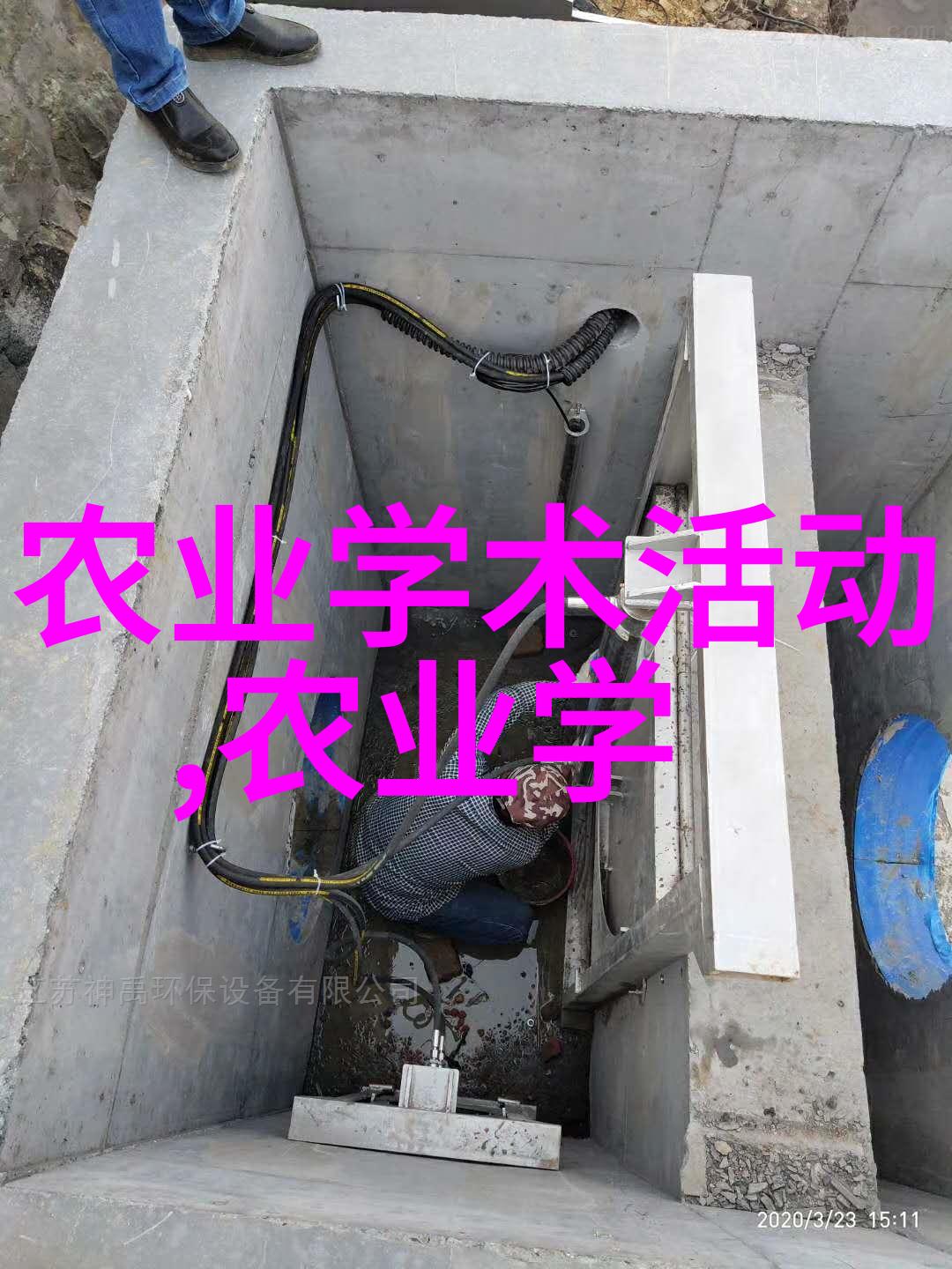 绿色共享蔬菜种植交流平台的实用指南与成功案例分享