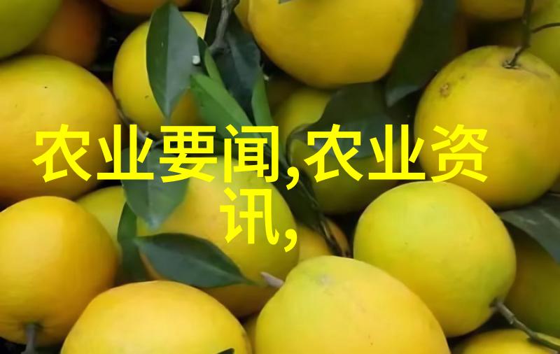 跟茶有关的知识我的日常探索