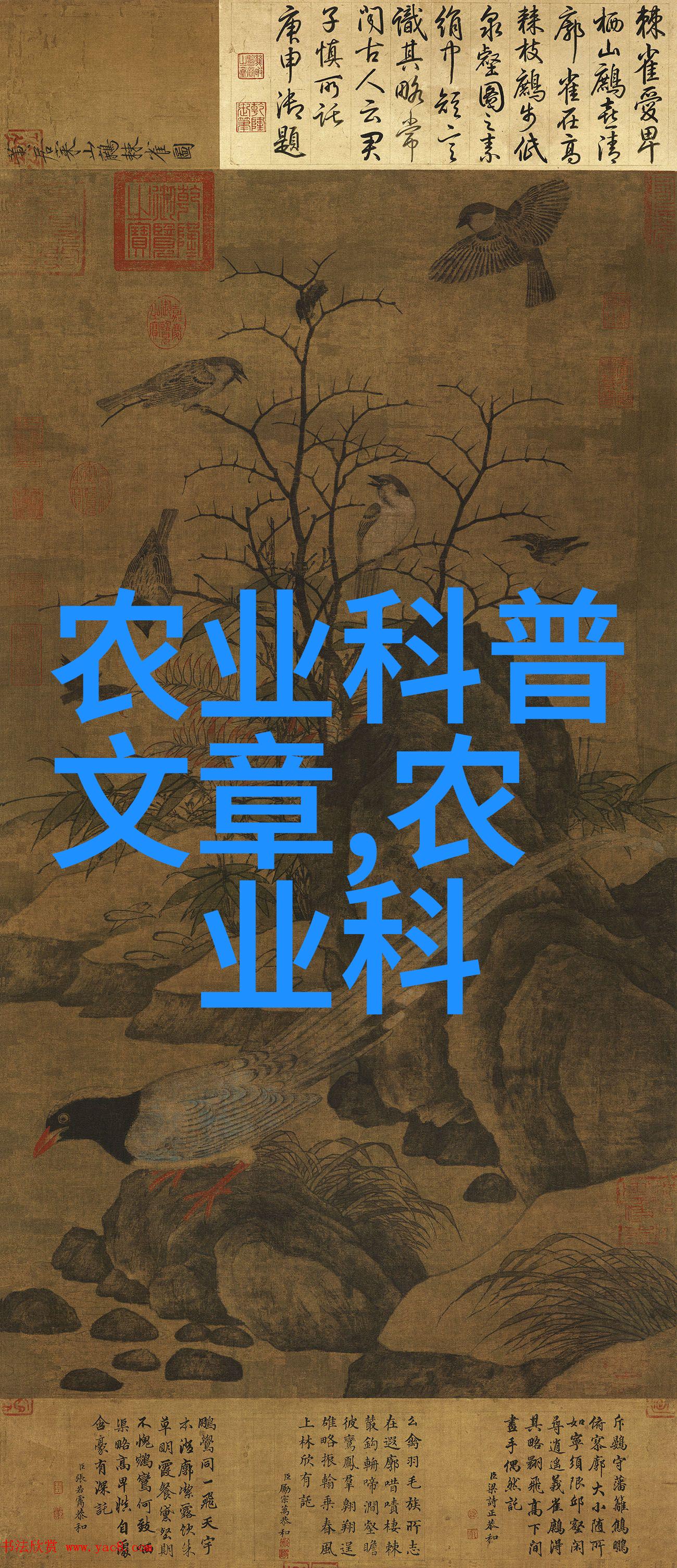 茶香悠扬揭秘长期品茗之健康奇迹