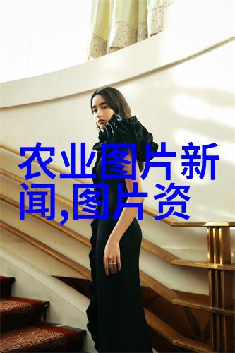 茶叶的历史与文化一段悠久的故事