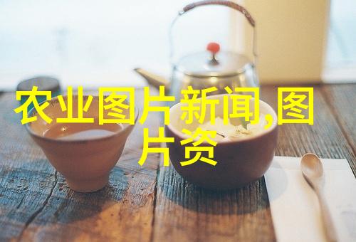 家养蜜蜂怎么取糖视频来看我是怎么教会小伙伴们的