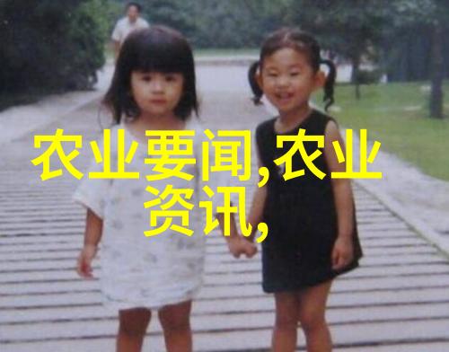 深度探究茶道精神的奥秘与魅力
