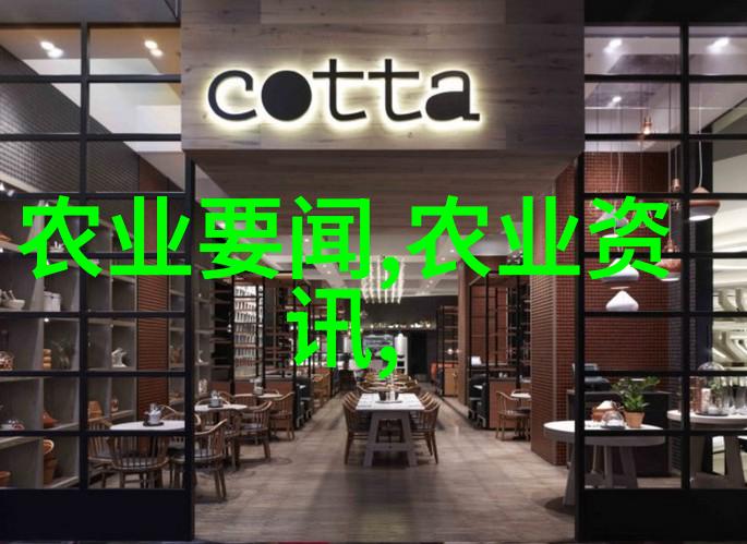 商用大型榨油机的安装及操作指南