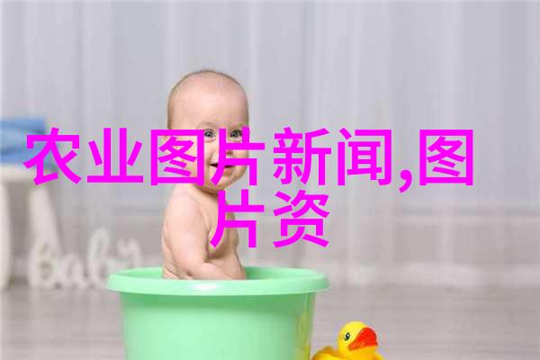 新希望破晓的曙光下