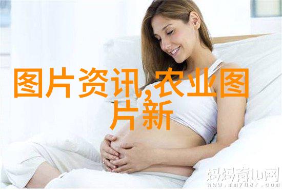 药材百宝库探秘常见中药的神奇世界