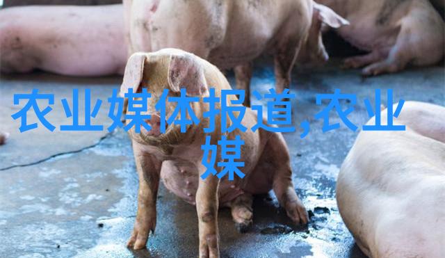 日本无人区一线探秘影视的边界
