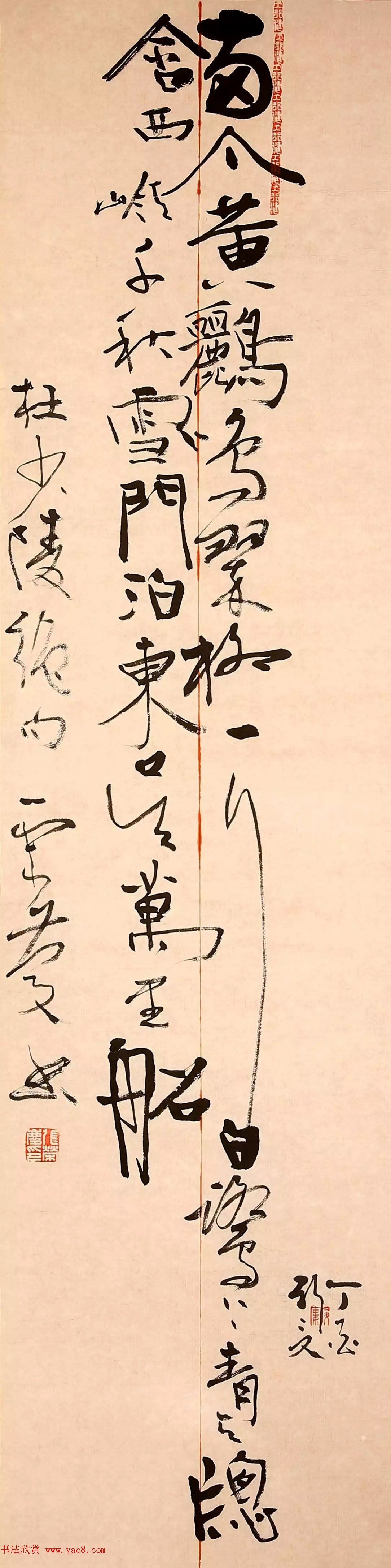 翠绿金线莲花种苗的秘密批发