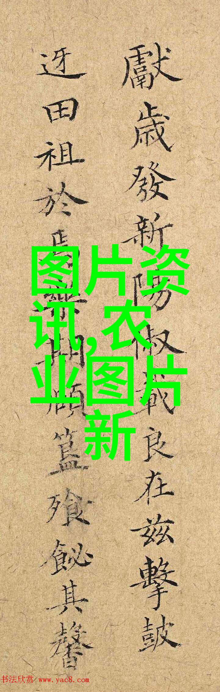 茶下神话揭秘中国用茶的起源之谜