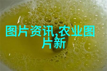技术与设备投资分析如何提升工厂化养鱼效率