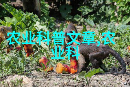 水果籽的秘密揭开它们背后的奇幻故事