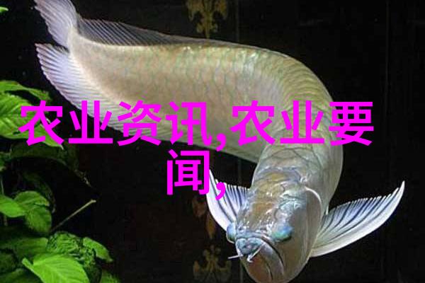 哪里批发鲜花最便宜我来告诉你这些小秘密
