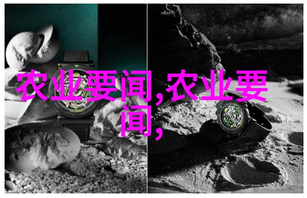 在农村土地上种植什么能赚钱快