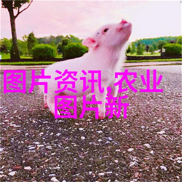 老阿姨的故事一段温暖的人生篇章