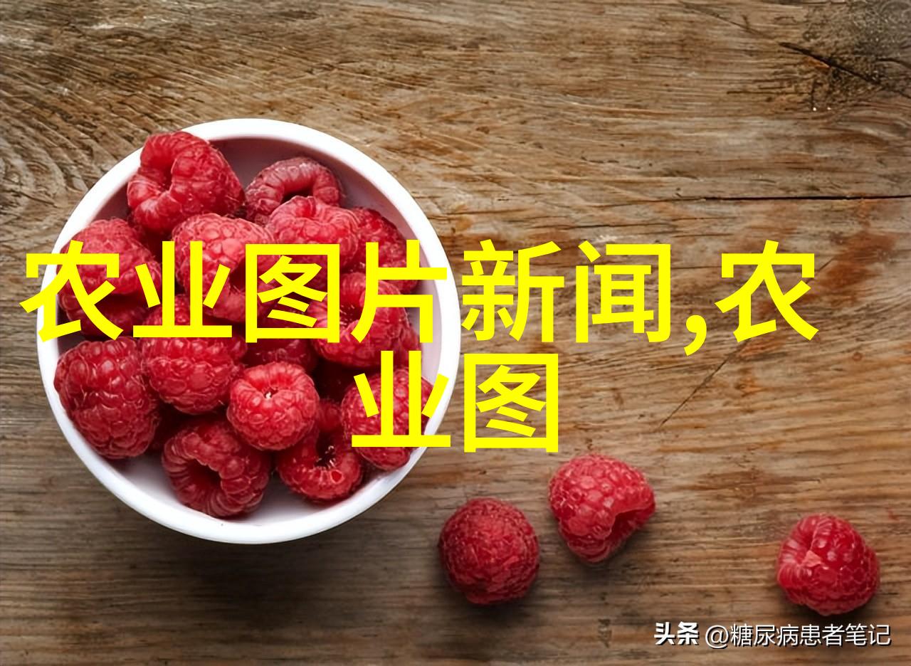 中国养猪网我是猪宝爸爸如何在家就能做出优质的家猪肉