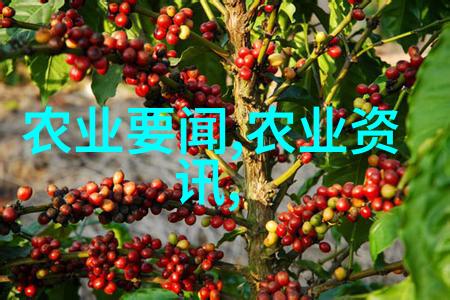 物流管理体系优化研究基于大数据与智能技术的创新策略