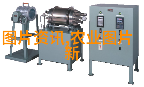 温馨客厅花园选择适合家庭空间的养花佳品