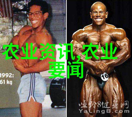 火焰的遗嘱辣椒种子的传说