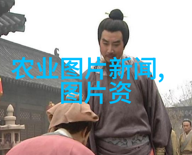 如何正确维护和修剪我们的自家小型绿色草坪网呢