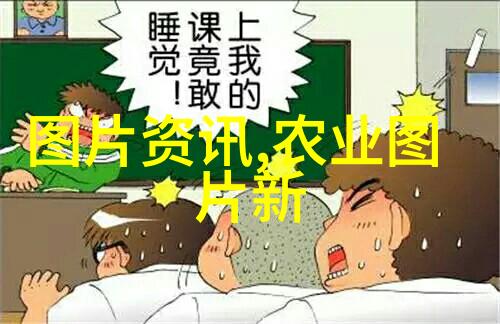 女人喝茶叶的健康益处与潜在风险女性饮茶健康效应分析