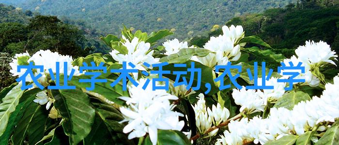 我的灵芝种植秘籍从土壤到成果我的实用经验分享