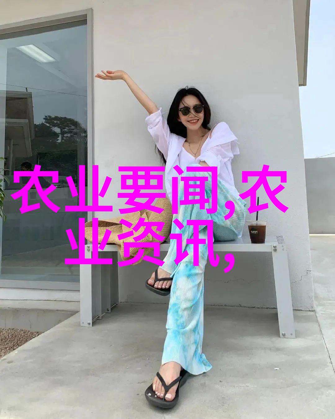 室内绿洲如何在城市中创造属于自己的小花园