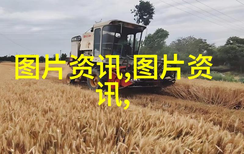 水芹清澈流淌的绿意与传说中的药用价值