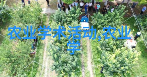 农业金钱树揭秘最赚钱的种植项目