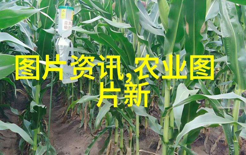 蚯蚓养殖秘诀为什么说神奇蚯蚓能提高土壤水分保持能力