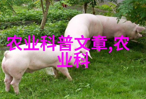 最容易种的盆栽水果来尝试一下我的小椰子树在家里养一个小椰子树不仅能让你享受到清凉的椰奶还能给你的生活