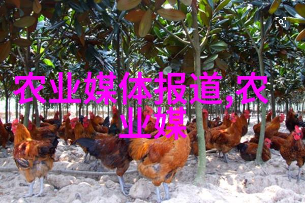 锦夜来否我等你在星光下轻轻提问