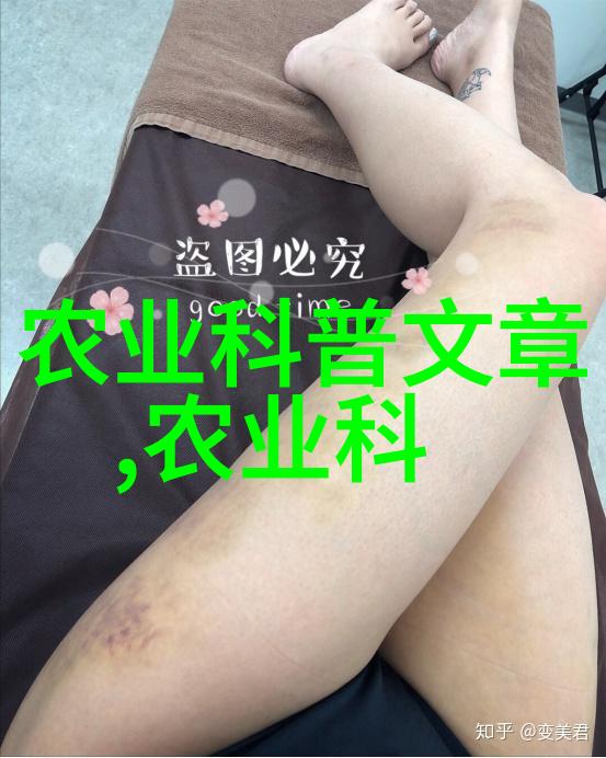 羊群中的美丽跳跃者与牛群中的强壮体魄哪一个能带来更多的金钱丰收