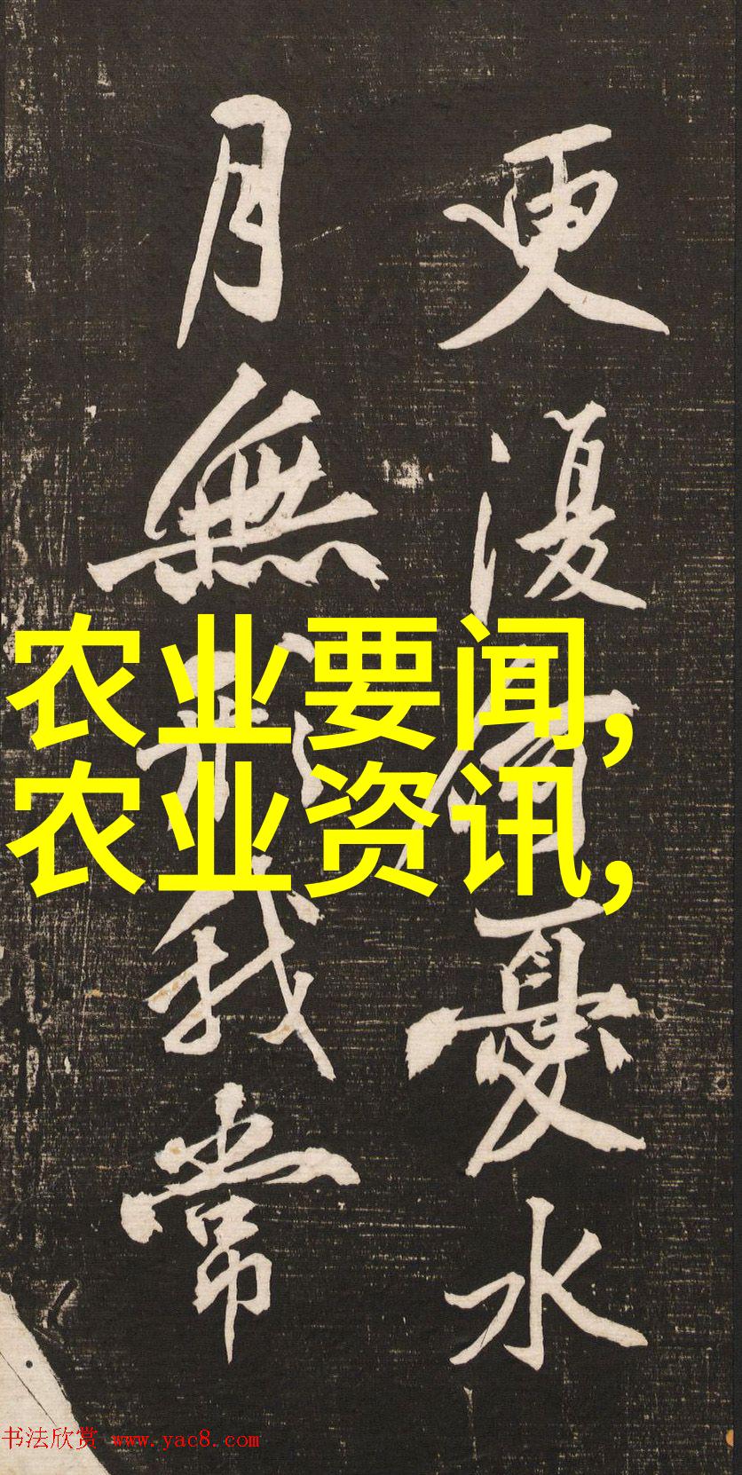 茶叶资讯品鉴中国茶文化