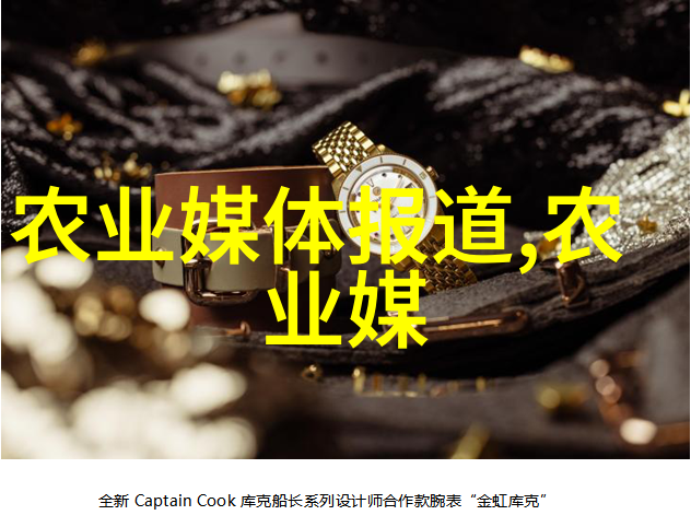 明朝王爷的故事