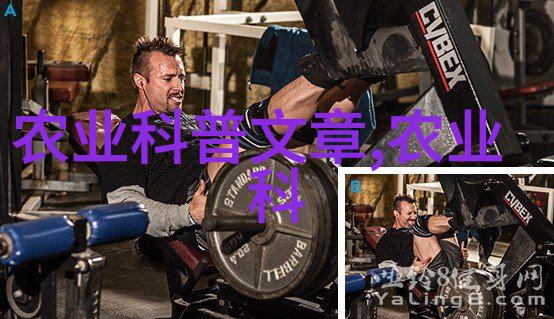 黄精栽培指南一亩地如何正确种植