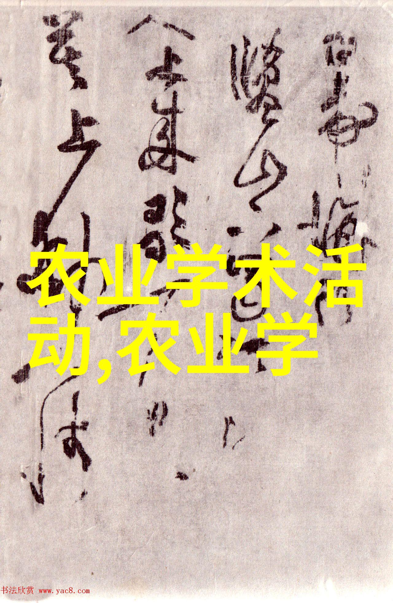 智能化服务新纪元ZOOMSERVO如何重塑我们的生活方式