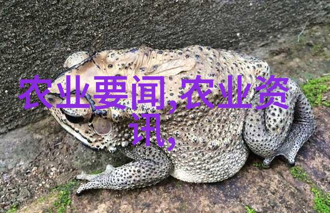 连翘之花荒漠中的绿洲与都市的寂寞
