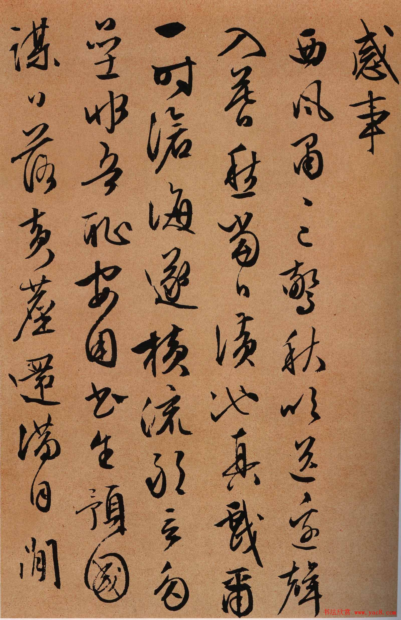 甜蜜心扉揭秘爱情的微妙之处