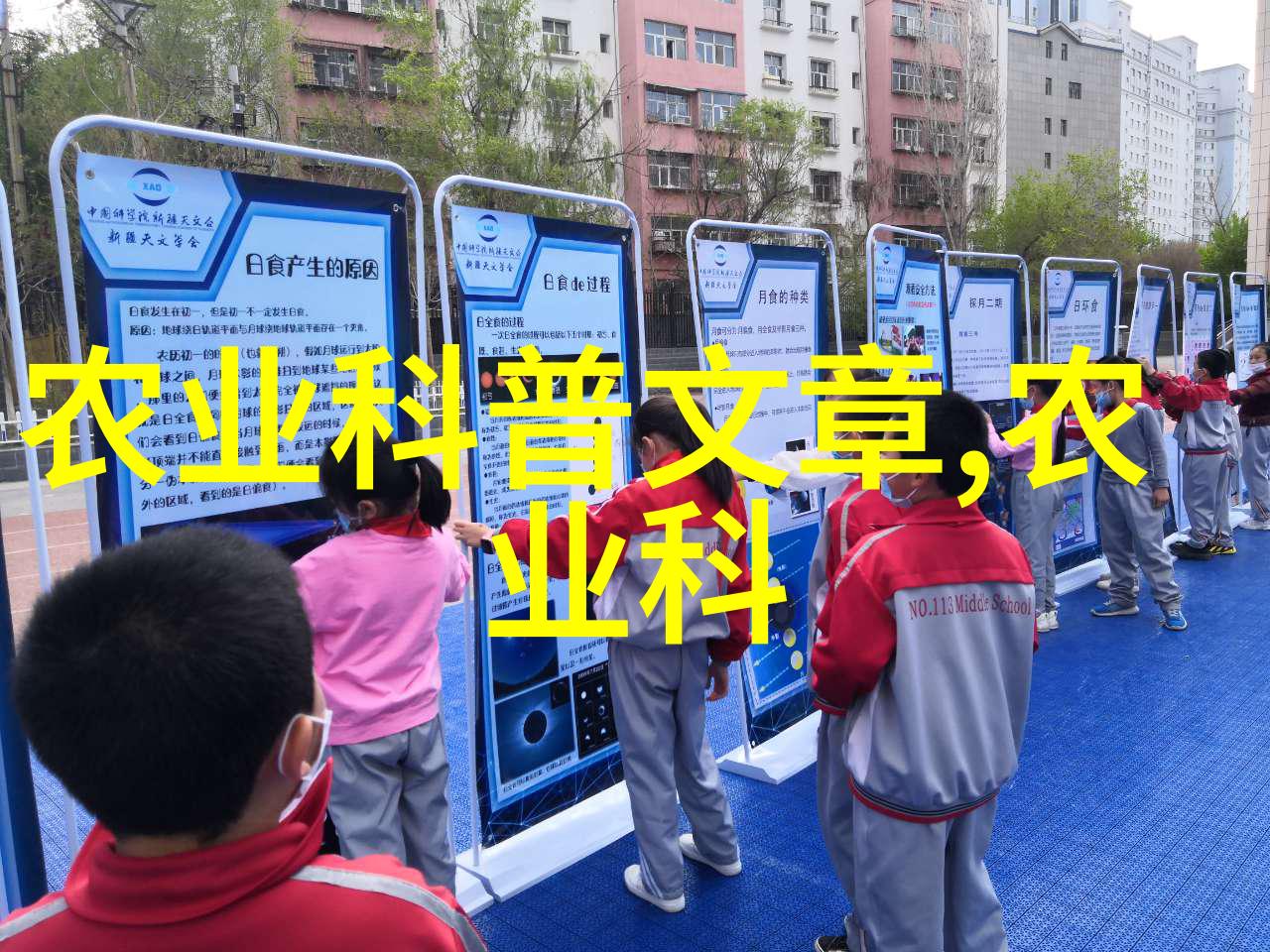 新世纪大棚农业技术创新探索高效节水的大型多层栽培模式