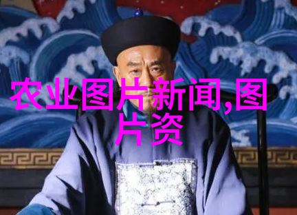 中国农业机械化水平 - 机耕时代深度探究中国农业机械化进程与挑战