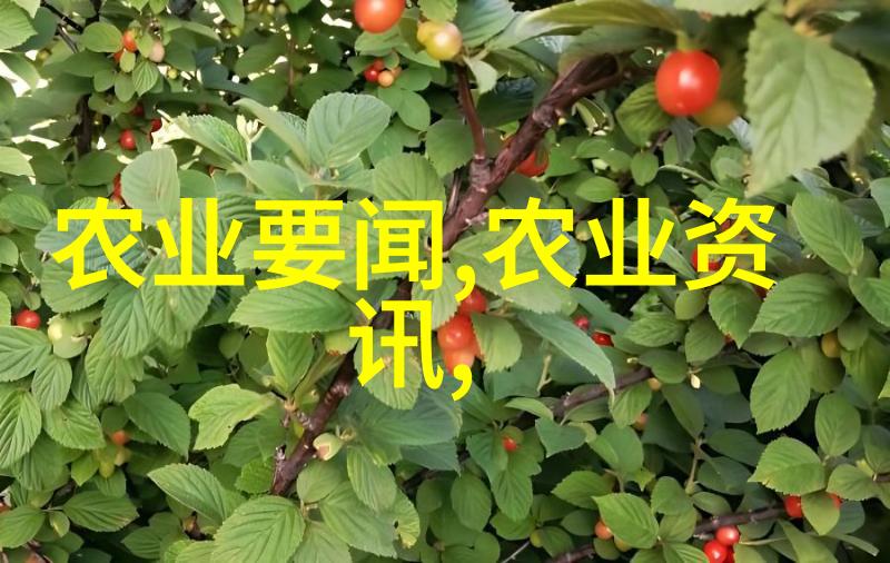 科学养蜂技术和方法我是如何用科学的方法让蜂箱里的忙碌小蜜蜂效率大增的