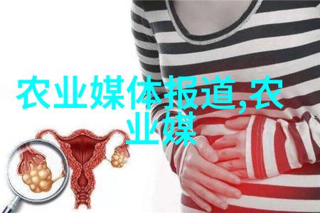湖南建成430个粮食产后服务中心