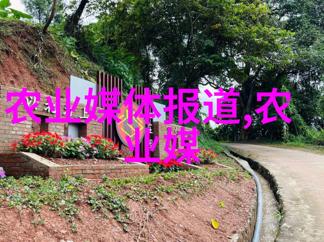 精准种植与养护探索高效的种蜜源养蜂技术