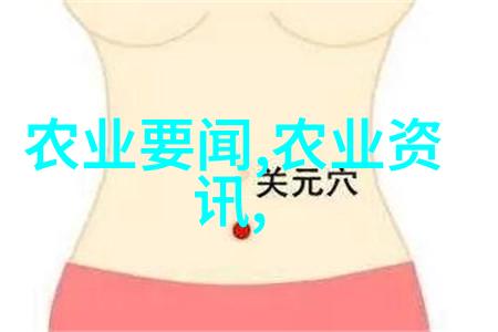园艺花卉-直径60公分广玉兰价格及购买指南