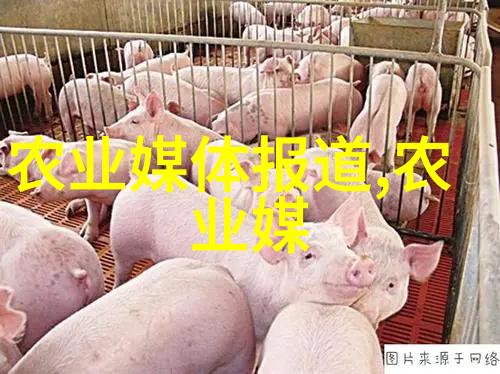 中国养殖养羊网绿色牧场的未来之路