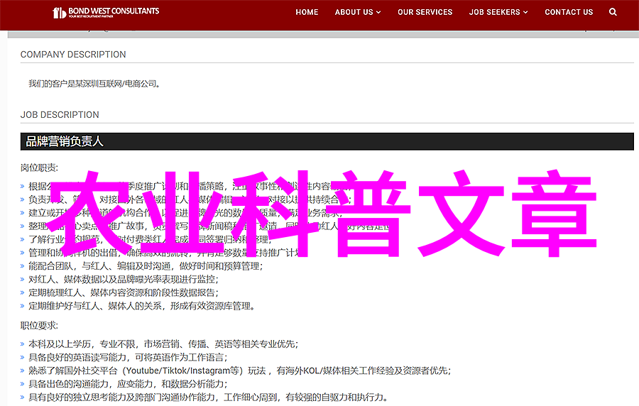学术交流与实践活动总结