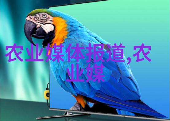 绿茶红茶白茶每种都有特点它们各自好在哪里