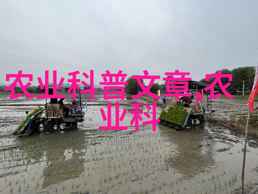 养羊技术学堂农牧业技能培训中心