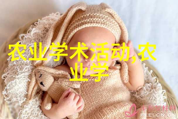 如何高效养殖泥鳅解析专业视频技巧