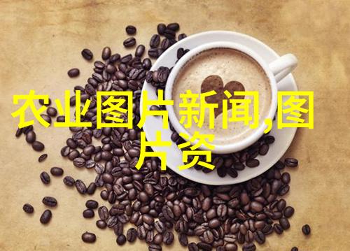 精致生活方式揭秘高端黑玉兰花系列为你的晚宴增添一份独特魅力